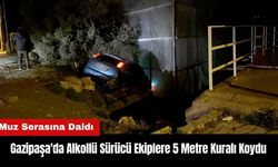 Gazipaşa'da Muz Serasına Daldı! Ekiplere 5 Metre Kuralı Koydu