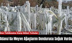 Adana’da Meyve Ağaçlarını Dondurucu Soğuk Vurdu