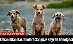 Bakanlıktan Hastanelere Sahipsiz Hayvan Genelgesi