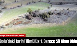 Bolu’daki Tarihi Tümülüs 1. Derece Sit Alanı Oldu