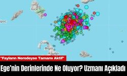 Ege’nin Derinlerinde Ne Oluyor? Uzmanı Açıkladı