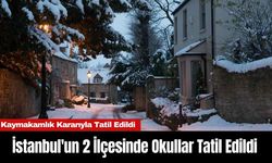 İstanbul'un 5 İlçesinde Okullar Tatil Edildi