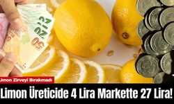 Limon Üreticide 4 Lira Markette 27 Lira! Zirveyi Bırakmadı