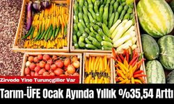 Tarım-ÜFE Ocak Ayında Yıllık %35,54 Arttı