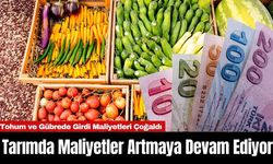 Tarımda Maliyetler Artmaya Devam Ediyor