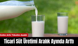 Ticari Süt Üretimi Aralık Ayında Arttı