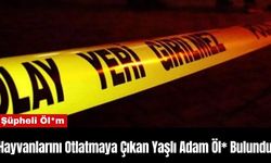 Hayvanlarını Otlatmaya Çıkan Yaşlı Adam Öl* Bulundu