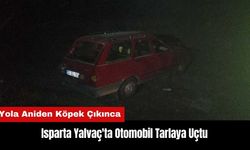 Isparta Yalvaç'ta Otomobil Tarlaya Uçtu