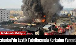 İstanbul'da Lastik Fabrikasında Korkutan Yangın! Müdahale Ediliyor