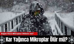 Kar Yağınca Mikroplar Ölür mü?