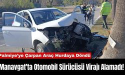 Manavgat'ta Otomobil Sürücüsü Virajı Alamadı! Palmiyeye Çarpan Araç Hurdaya Döndü