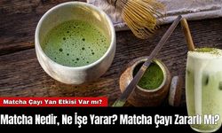 Matcha Nedir, Ne İşe Yarar? Matcha Çayı Zararlı Mı?