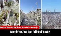 Mersin'de Zirai Don Ürünleri Vurdu! Başkan Seçer'den Çiftçilere Destek Mesajı