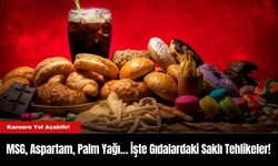 MSG, Aspartam, Palm Yağı… İşte Gıdalardaki Saklı Tehlikeler!