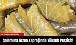 Salamura Asma Yaprağında Yüksek Pestisit!