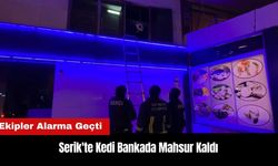 Serik'te Kedi Bankada Mahsur Kaldı! Ekipler Alarma Geçti