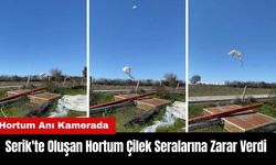 Serik'te Oluşan Hortum Çilek Seralarına Zarar Verdi