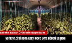 Serik'te Zirai Dona Karşı Gece Sera Nöbeti Başladı