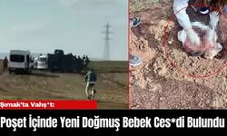 Şırnak’ta Vahş*t: Poşet İçinde Yeni Doğmuş Bebek Ces*di Bulundu