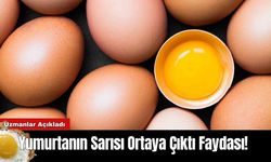 Yumurtanın Sarısı Ortaya Çıktı Faydası!