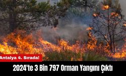 2024'te 3 Bin 797 Orman Yangını Çıktı! Antalya 4. Sırada