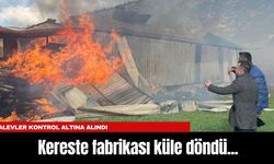 Burdur'da Kereste fabrikası küle döndü...Alevler kontrol altına alındı