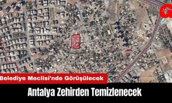 Antalya Zehirden Temizlenecek