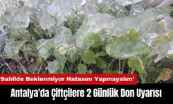 Antalya'da Çiftçilere 2 Günlük Don Uyarısı