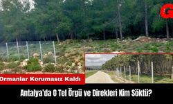 Antalya’da Ormanları Koruyan Tel Örgü ve Direkleri Kim Söktü?