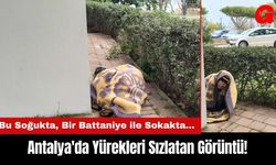 Antalya'da Yürekleri Sızlatan Görüntü