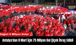 Antalya'dan 8 Mart İçin 75 Milyon Dal Çiçek İhraç Edildi