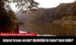 Belgrad Ormanı nerede? Büyüklüğü Ne Kadar? Nasıl Gidilir?