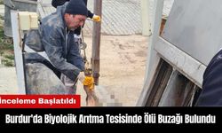 Burdur'da Biyolojik Arıtma Tesisinde Ölü Buzağı Bulundu