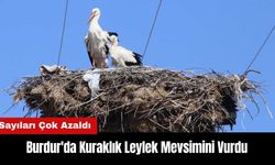 Burdur'da Kuraklık Leylek Mevsimini de Vurdu