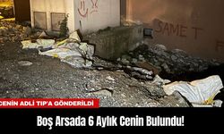 Boş Arsada 6 Aylık Cenin Bulundu!