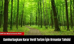 Cumhurbaşkanı Karar Verdi Turizm İçin Ormanlar Tahsisi