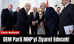 DEM Parti MHP'yi Ziyaret Edecek! Tarih Netleşti