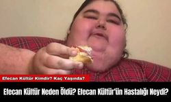 Efecan Kültür Neden Öldü? Efecan Kültür'ün Hastalığı Neydi?