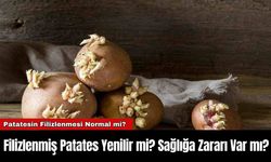 Filizlenmiş Patates Yenilir mi? Sağlığa Zararı Var mı?