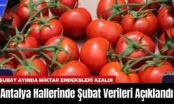 Antalya Hallerinde Şubat Verileri Açıklandı