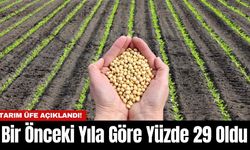 Tarım ÜFE Açıklandı! Bir Önceki Yıla Göre Yüzde 29 Oldu