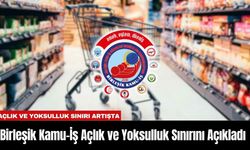 Birleşik Kamu-İş Açlık ve Yoksulluk Sınırını Açıkladı