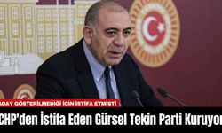 CHP'den İstifa Eden Gürsel Tekin Parti Kuruyor