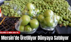 Mersin’de Üretiliyor Dünyaya Satılıyor! Kilosu 2 Bin 250 TL