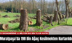 Muratpaşa’da 198 Bin Ağaç Kesilmekten Kurtarıldı