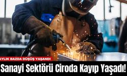 Sanayi Sektörü Ciroda Kayıp Yaşadı!