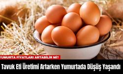 Tavuk Eti Üretimi Artarken Yumurtada Düşüş Yaşandı