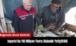 Isparta’da 110 Milyon Yavru Alabalık Yetiştirildi