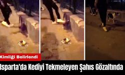 Isparta'da Kediyi Tekmeleyen Şahıs Gözaltında