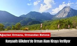 Konyaaltı Gökdere'de Orman Alanı Kiraya Veriliyor